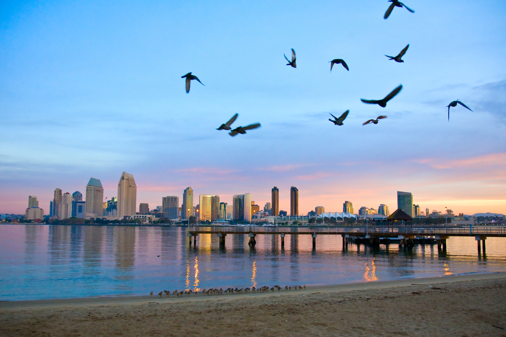 San Diego city scape at dawn with seagulls flying in the foreground
