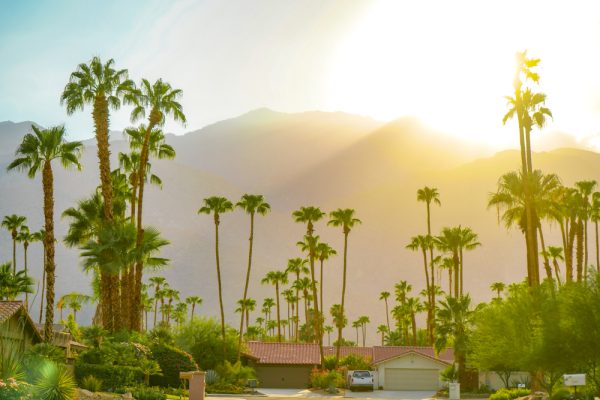 Downtown Palm Springs: 12 Spots to Check Out - California Through My Lens