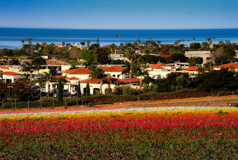 The Cost of Living in Carlsbad, California CAStorage Blog Site